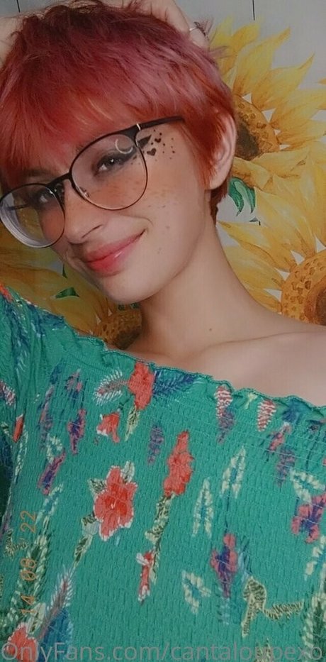 Cantaloupexo