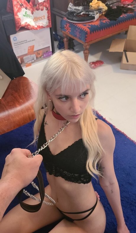 Nagie wyciekłe zdjęcie OnlyFans od Catsandkittens456
