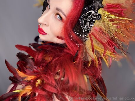 Yourscarletharlotxxx