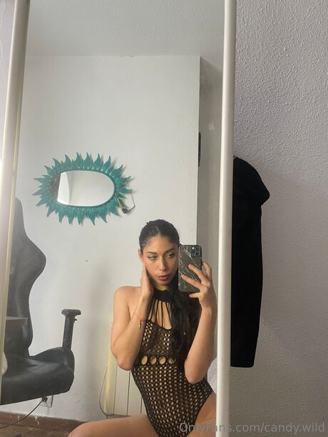 Candy Wild