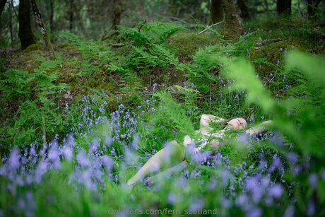 Fern Scotland