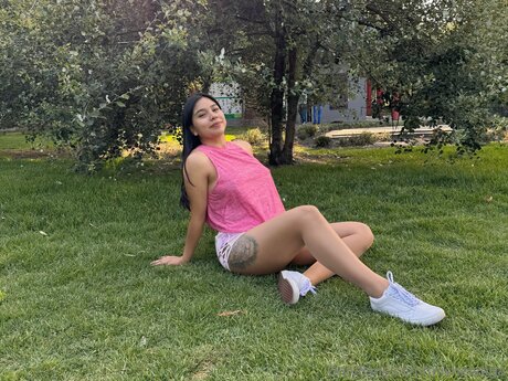 Mishelvega
