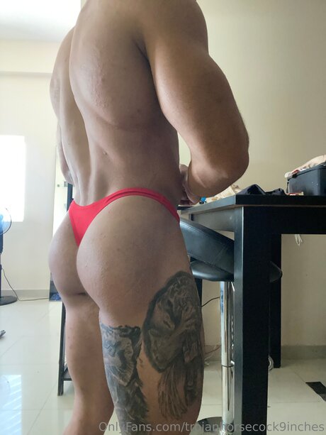 Trojanhorsecock9inches