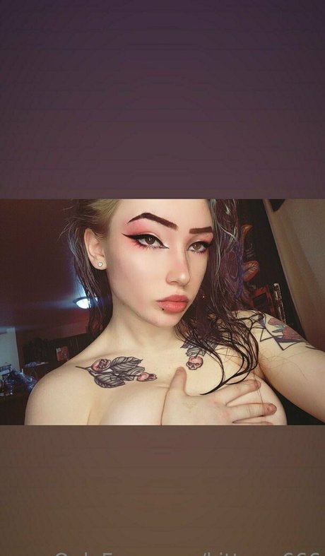 Kitten666
