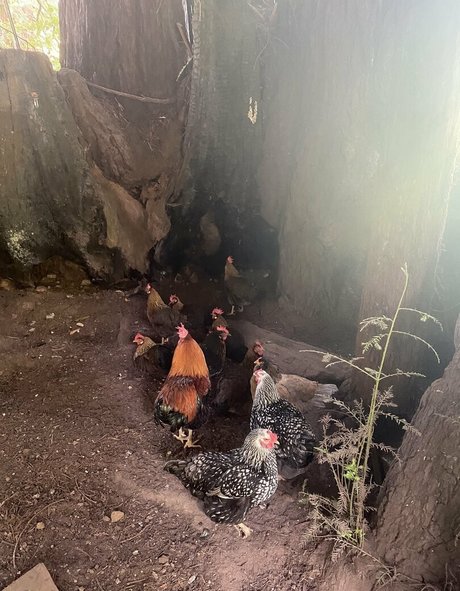 Nagie wyciekłe zdjęcie OnlyFans od Vanessa Veracruz