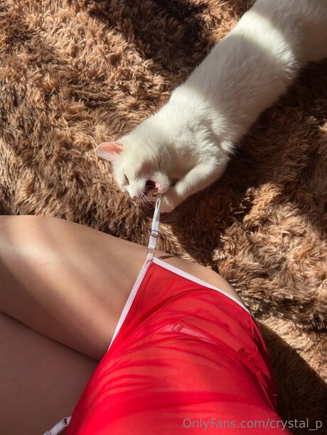 Nagie wyciekłe zdjęcie OnlyFans od Crystal P