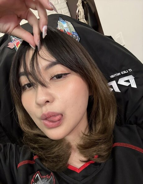 Swansage