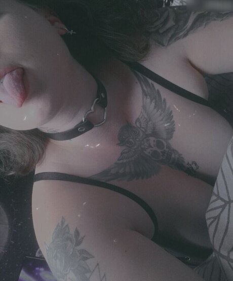 Xlenaaofficial