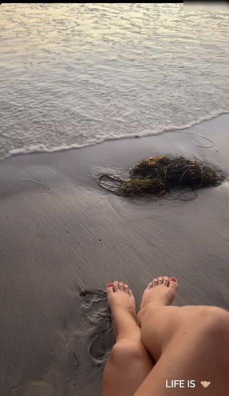 Milica Denise Umicevic