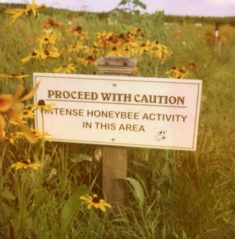Nagie wyciekłe zdjęcie OnlyFans od Honeyfromthehive