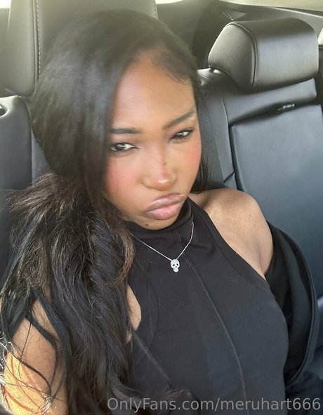 Meruhart666