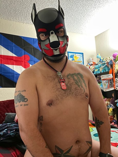 Nagie wyciekłe zdjęcie OnlyFans od Pup Dant