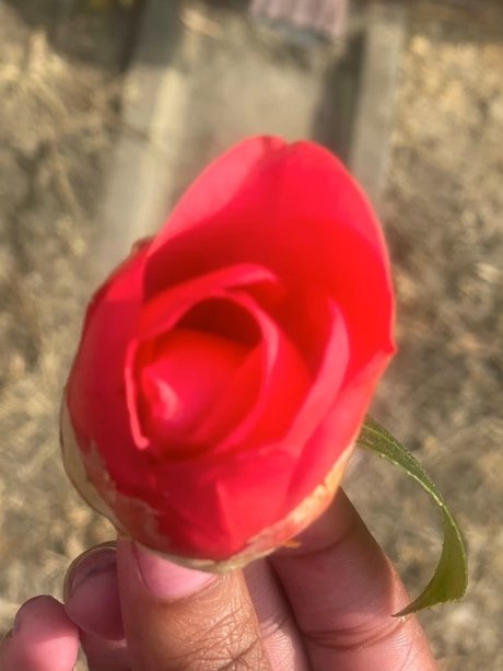 Nagie wyciekłe zdjęcie OnlyFans od Milkkkkkmarie 