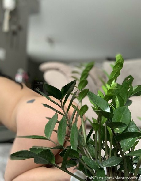 Nagie wyciekłe zdjęcie OnlyFans od Asiaasahi