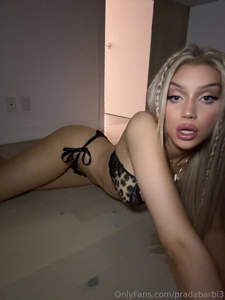 Dreafoxx