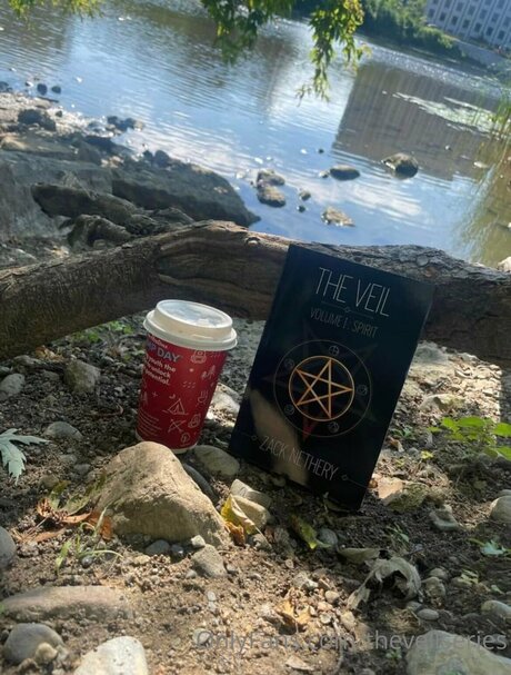 Theveilseries