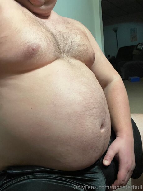 Thebulkinghog