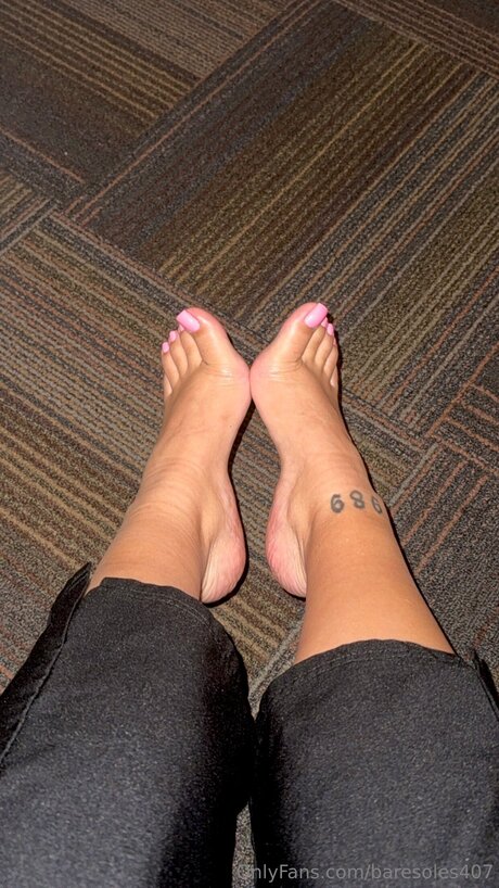 Baresoles407