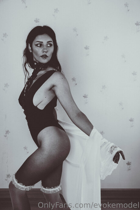 Evokemodel