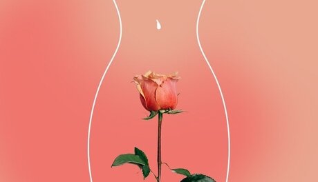 Nagie wyciekłe zdjęcie OnlyFans od Babyt