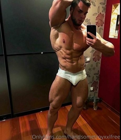 Handsometroyxxlfree