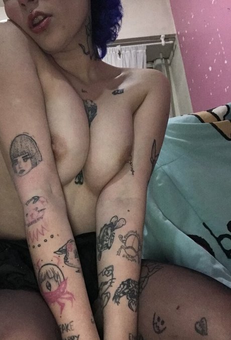 Gatas De Santa Maria Rs