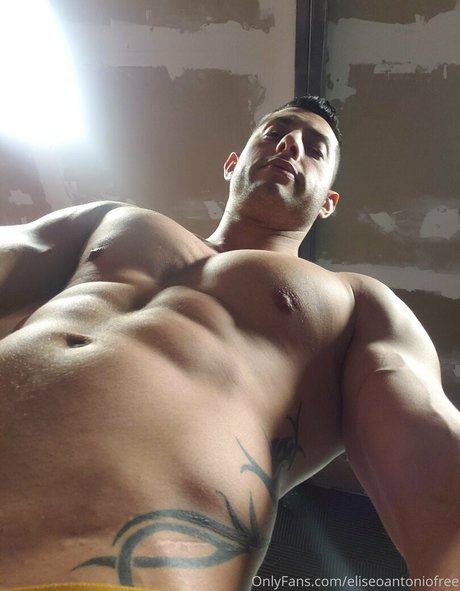 Eliseoantoniofree