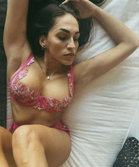Lillydd
