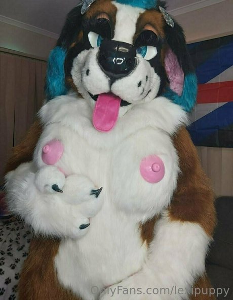 Lexipuppy