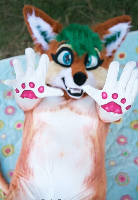 Furryfoxxy