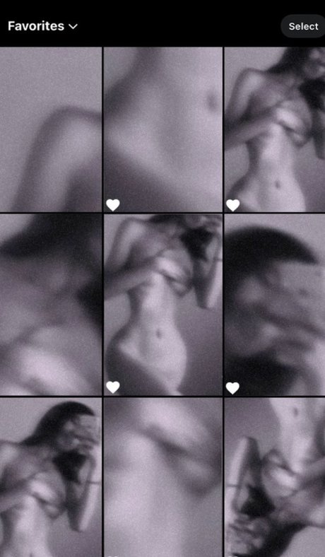Cmp Perla