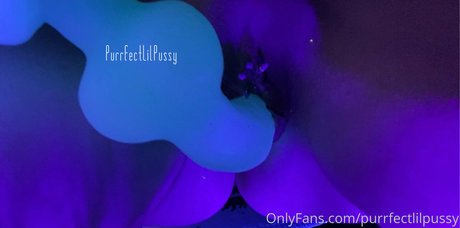 Purrfectlilpussy