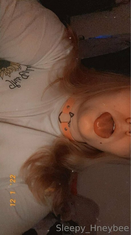Sleepyhneybee