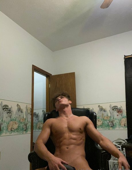 Taylorsfree