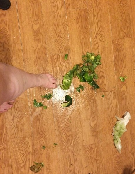 Godmotherthegreatfree