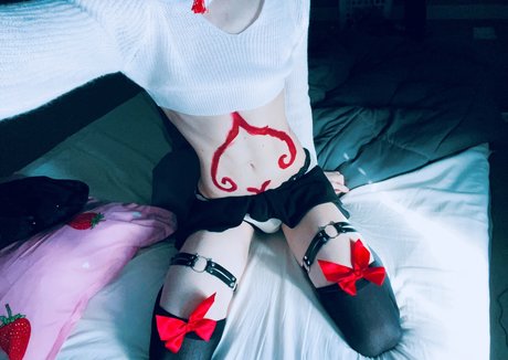Catboiaoi