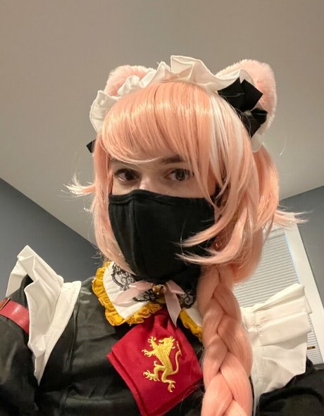 Catboiaoi
