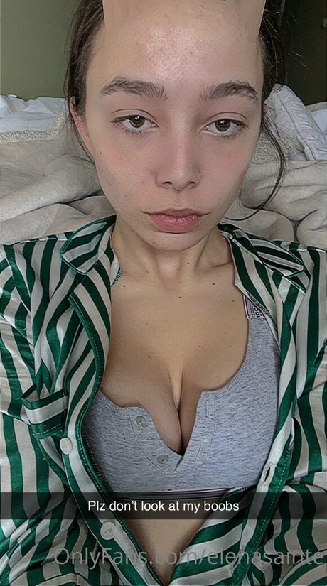 Elenasainte