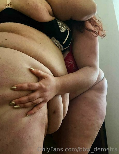 Bbwdemetra