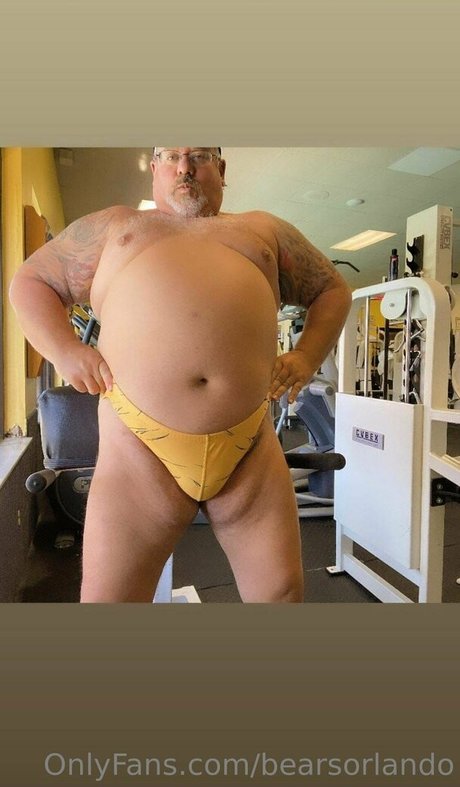 Bearsorlando