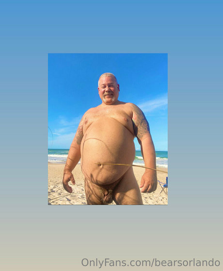 Bearsorlando