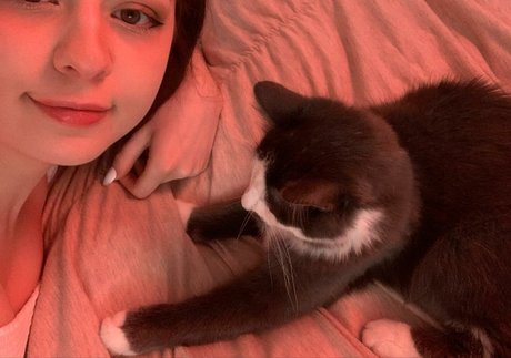 Aveykitty