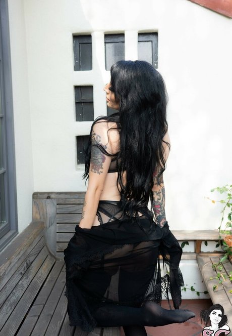 Belladona
