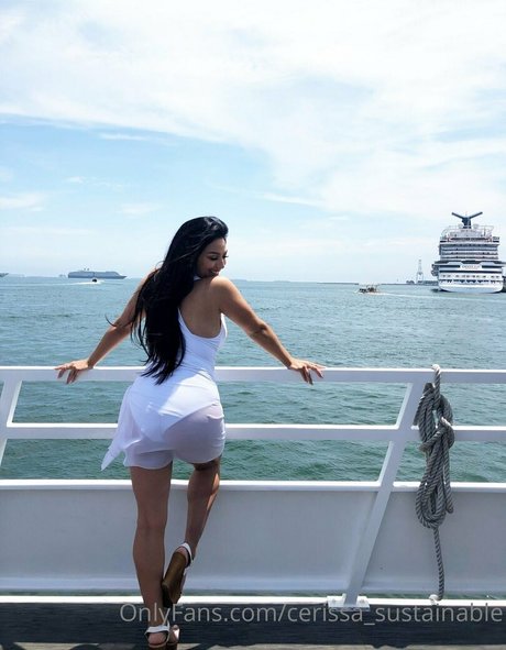 Cerissasustainable