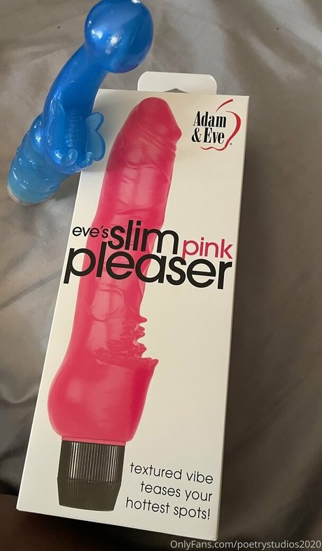 Poetrystudiosnetwork