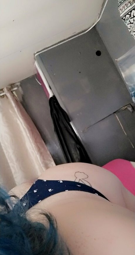 Lanicat1