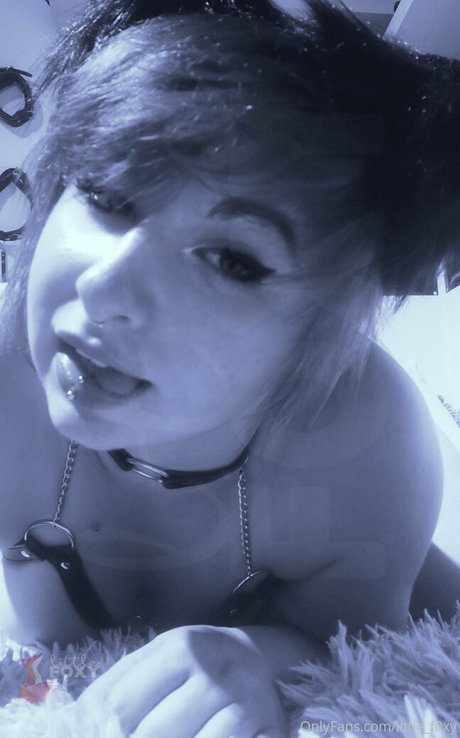 Littlef0xy